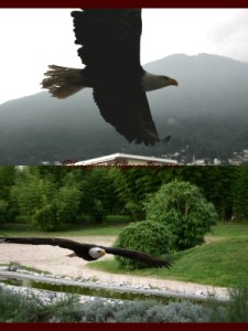 autumnholsweek02_20121022h