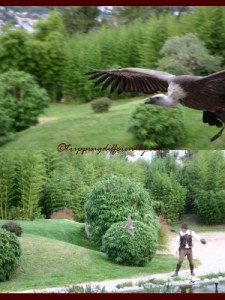 autumnholsweek02_20121022i