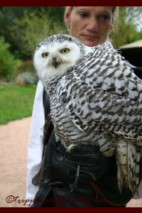 autumnholsweek02_20121022k