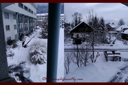 Left: See the caretaker with his snow-blower, standing in mid-thigh high snow. Right: See the amount of snow on top of the big metal trash bins?