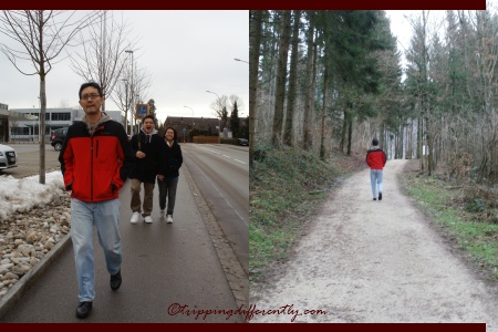 We took a nice walk in the nearby forest.