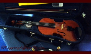 This new one is a rich dark orange-red-brown colour... his teacher thinks this sounds great but i miss the sound of his old one... still it is a good violin...