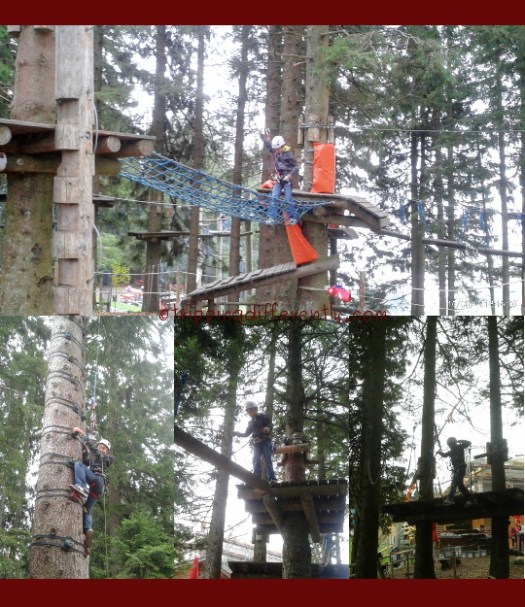 Top: You can see other courses behind him. Bottom Left: Climbing the monkey ladder. Bottom Center: Crossing the shaky log. Bottom Right: Swinging ropes.