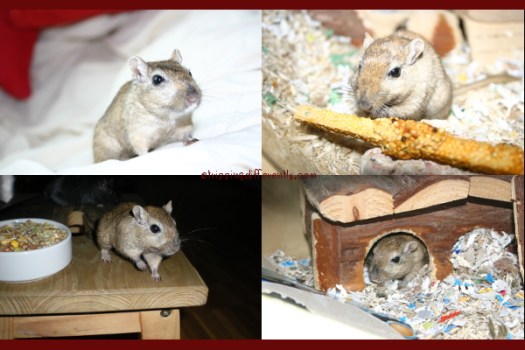 We had taken to calling her girlie and grand old lady in recent months.