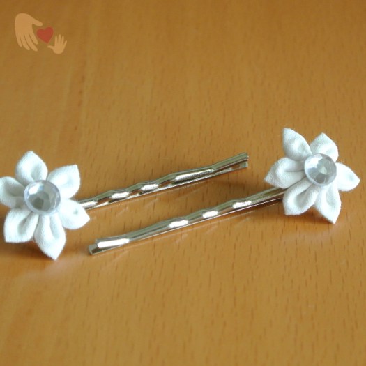 20140516a_KZ_pt_whitesilver_HPsilver