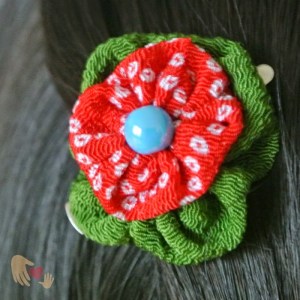 f8c86-20130926d_sp_sqdb_redgreen_hcsilver