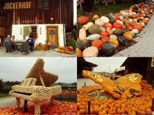 Top Left: 1st sight of the farm, Top Right: Lots of pumpkins everywhere!! All for sale, Bottom Right: giant butterfly made of pumpkins - you could ride on it (if they let you), Bottom Left: giant piano which plays recorded music, it's so big , my head only comes up to the keys.