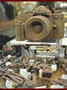 2ndweekautumnhols20141026n