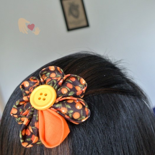 20150519d_KZ_rd_brownorange_HCsilver