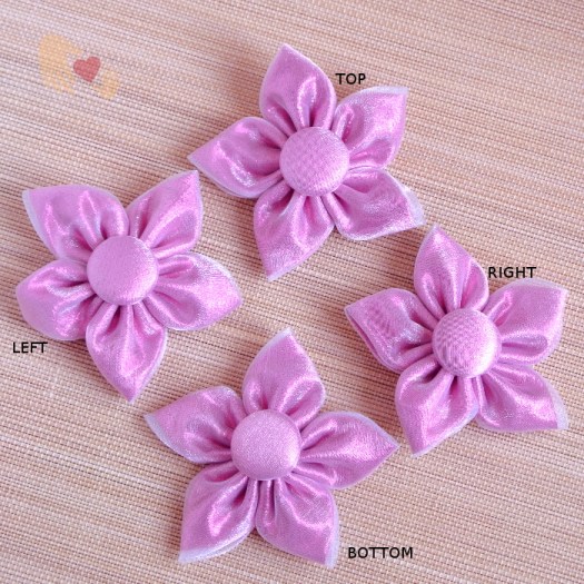 20150602a_GR_PtKz_HC_frostedPink