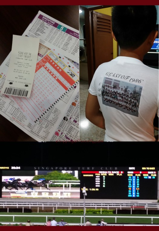 holidaysummary20150821c