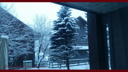 winterwhereareyou20160226b