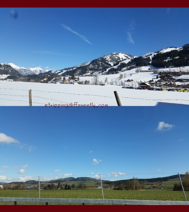 winterwhereareyou20160226c