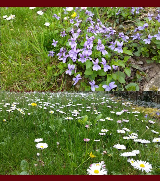 springglorious20160407a