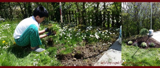 springholsreview20160506h