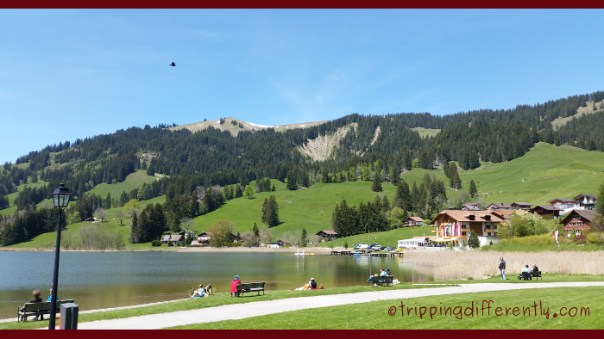 Isn't this scenery just to die for? LOVE IT! It was such a gorgeous day!