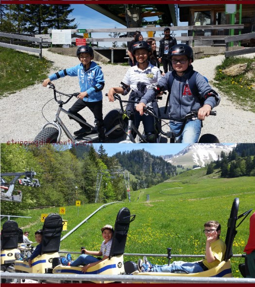 Before each of their fun thrilling rides!