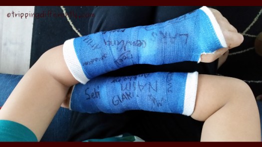 fallbreaksop20170106c