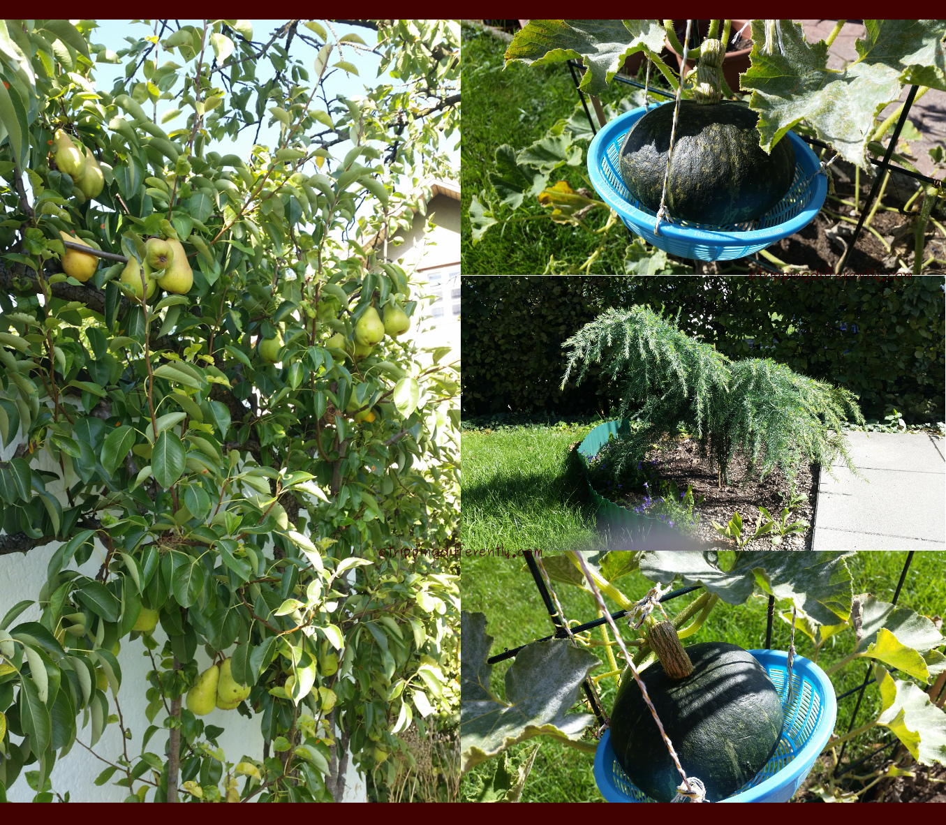 summerholsnot20170816c